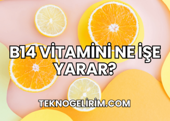 B14 Vitamini Ne İşe Yarar?