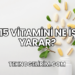 B15 Vitamini Ne İşe Yarar?