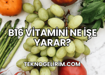 B16 Vitamini Ne İşe Yarar?