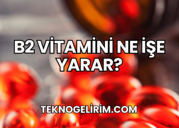 B2 Vitamini Ne İşe Yarar?