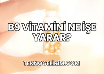 B9 Vitamini Ne İşe Yarar?