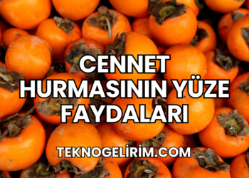 Cennet Hurmasının Yüze Faydaları