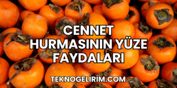 Cennet Hurmasının Yüze Faydaları