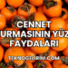 Cennet Hurmasının Yüze Faydaları