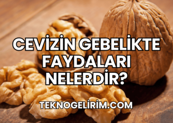 Cevizin Gebelikte Faydaları Nelerdir?