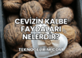 Cevizin Kalbe Faydaları Nelerdir?