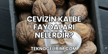 Cevizin Kalbe Faydaları Nelerdir?