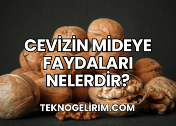 Cevizin Mideye Faydaları Nelerdir?