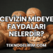 Cevizin Mideye Faydaları Nelerdir?