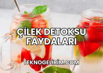 Çilek Detoksu Faydaları