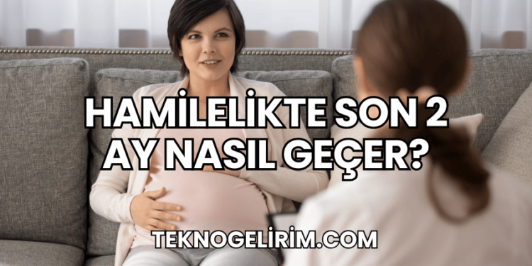 Hamilelikte Son 2 Ay Nasıl Geçer?