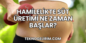 Hamilelikte Süt Üretimi Ne Zaman Başlar?