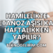 Hamilelikte Tetanoz Aşısı Kaç Haftalıkken Yapılır?