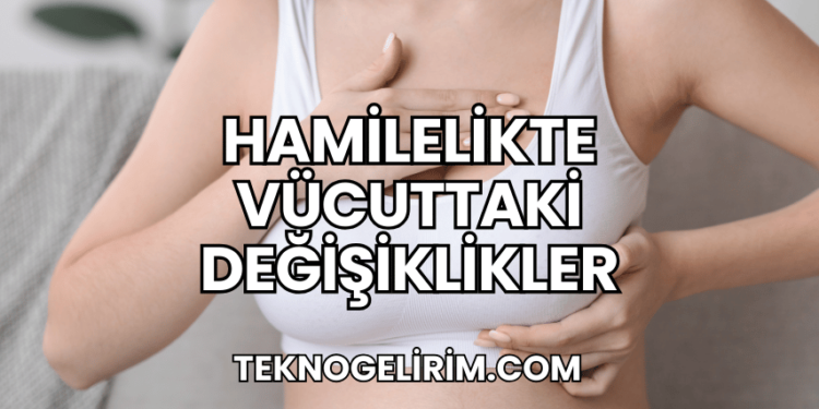 Hamilelikte Vücuttaki Değişiklikler
