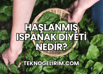 Haşlanmış Ispanak Diyeti Nedir?