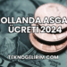 Hollanda Asgari Ücreti 2024
