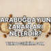 Karabuğday Unu Zararları Nelerdir?