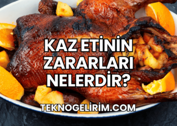 Kaz Etinin Zararları Nelerdir?