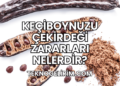Keçiboynuzu Çekirdeği Zararları Nelerdir?