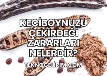 Keçiboynuzu Çekirdeği Zararları Nelerdir?