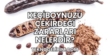 Keçiboynuzu Çekirdeği Zararları Nelerdir?
