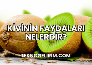 Kivinin Faydaları Nelerdir?