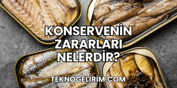 Konservenin Zararları Nelerdir?