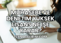 Muhasebe ve Denetim Yüksek Lisans Ne İşe Yarar?