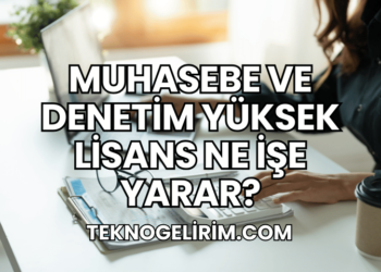 Muhasebe ve Denetim Yüksek Lisans Ne İşe Yarar?