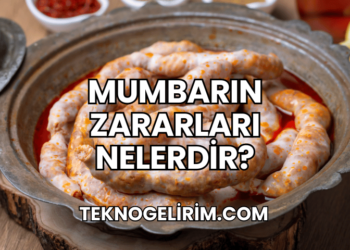 Mumbarın Zararları Nelerdir?