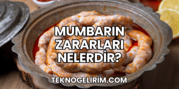 Mumbarın Zararları Nelerdir?