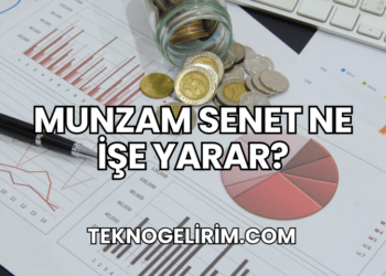 Munzam Senet Ne İşe Yarar?