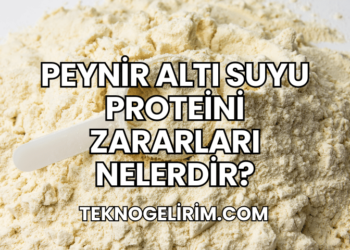 Peynir Altı Suyu Proteini Zararları Nelerdir?