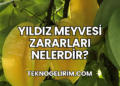 Yıldız Meyvesi Zararları Nelerdir?