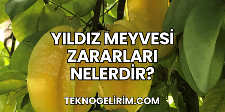Yıldız Meyvesi Zararları Nelerdir?