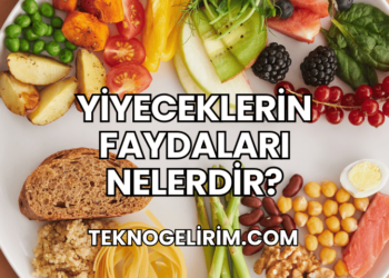 Yiyeceklerin Faydaları Nelerdir?