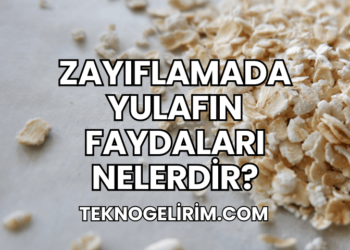 Zayıflamada Yulafın Faydaları Nelerdir?
