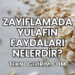 Zayıflamada Yulafın Faydaları Nelerdir?