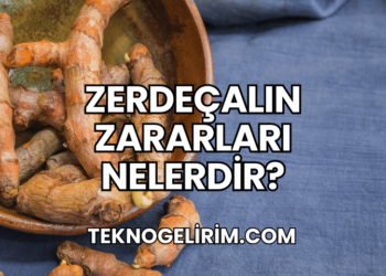 Zerdeçalın Zararları Nelerdir?