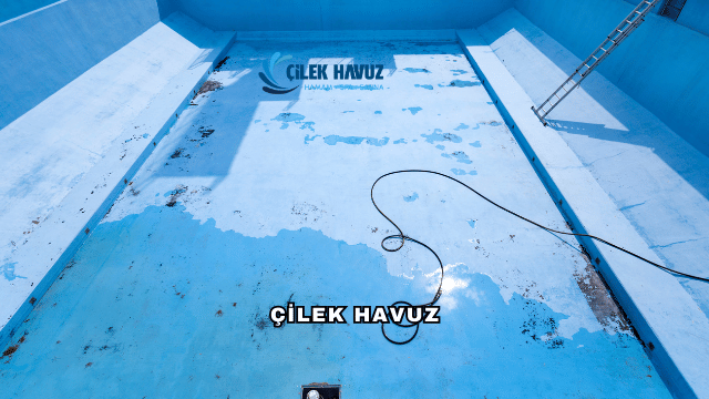Çilek Havuz Nedir